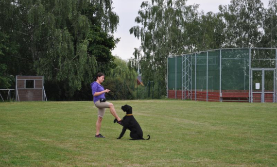 Intenzivní tréning dogdancingu