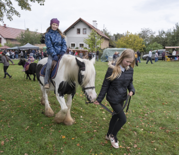 20. ročník Slavností holovouských malináčů 5. 10. 2024