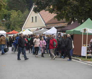 20. ročník Slavností holovouských malináčů 5. 10. 2024